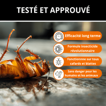 Charger l'image dans la galerie, cafard gel